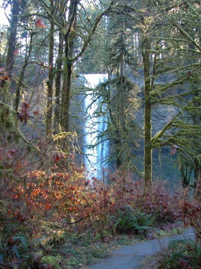 Silver Falls: South Falls in the Winter 15